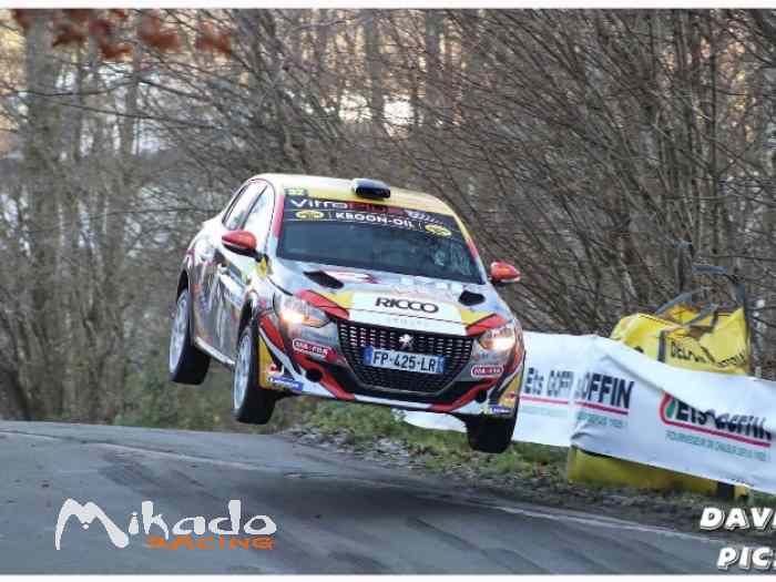 Peugeot 208 rally 4