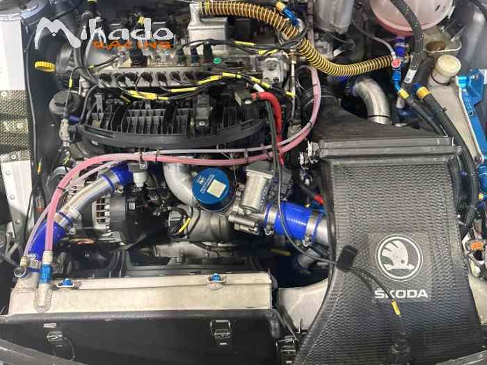 Skoda Fabia Rally2 EVO 1