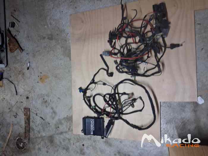 Calculateur sodemo evo 11 1