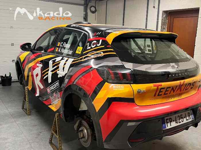 Peugeot 208 rally 4 2