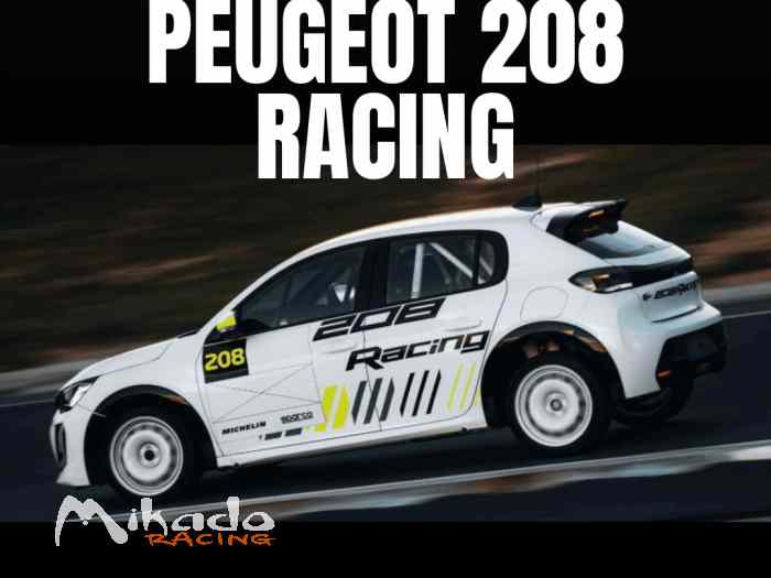 NOUVELLE 208 TC6 CHAMPIONNAT TTE