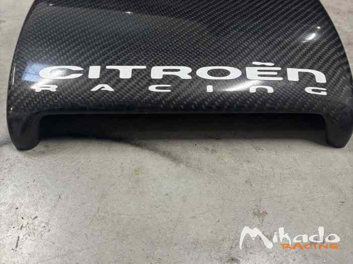 Trappe de toit carbone 0