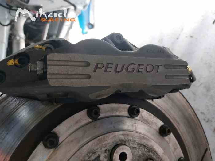 PEUGEOT 306 GROUPE A PEUGEOT SPORT_ RENATO TRAVAGLIA_ PAOLO ANDREUCCI 2