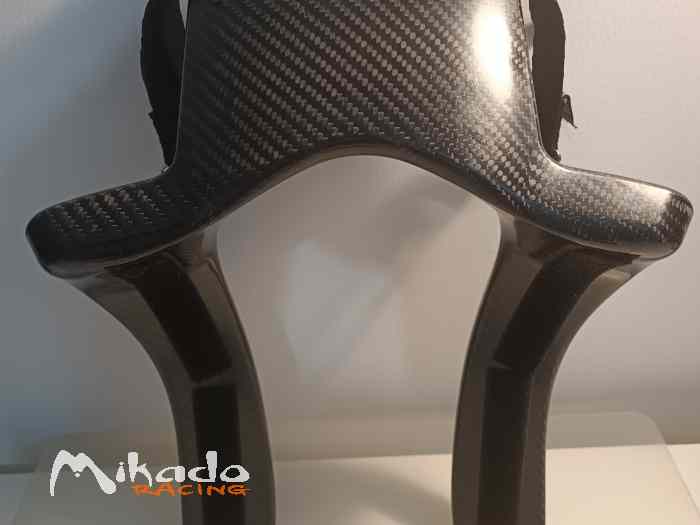 Hans SCHROTH Racing carbone à vendre. 5