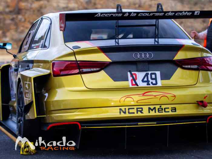 Audi RS3 LMS TCR 1
