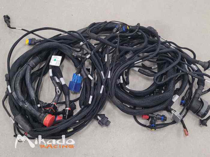 Faisceau habitacle 308 Racing Cup