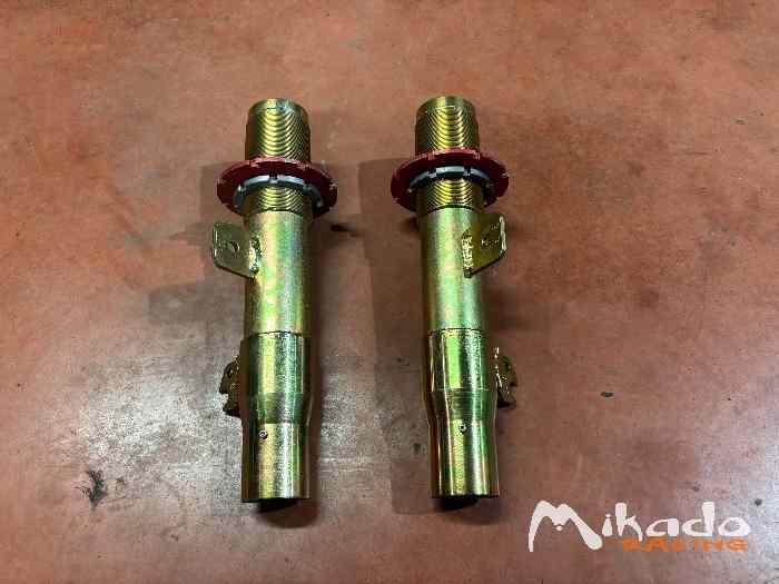 Paire de Jambes de forces de 207 R3T Evo 2 2