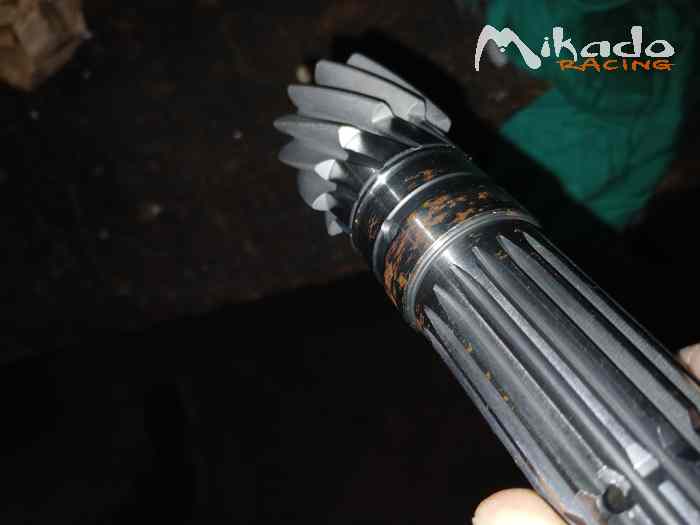 Couple court 12x68 4