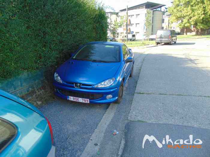 Vend 206 cc cabriolet 2,0 possible papier de 1600 1