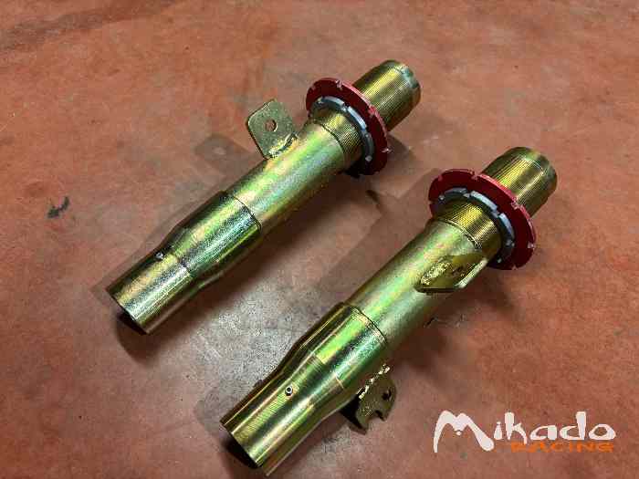 Paire de Jambes de forces de 207 R3T Evo 2 0