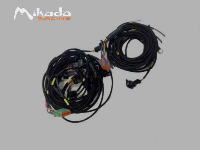 Calculateur Faisceau E-race neuf 1