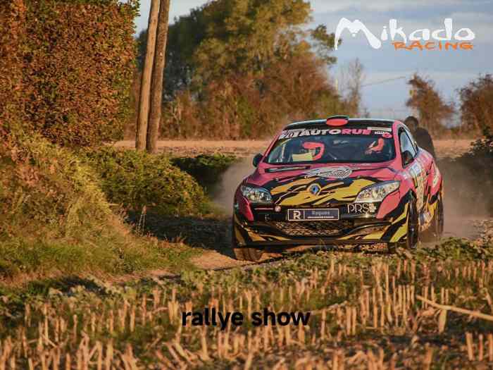 RENAULT MEGANE FULL N4 1