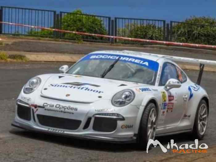 Porsche 991 GT3 Rally