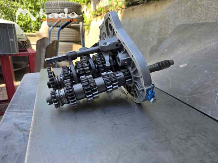 Cambio Renault Sport RSE Clio Gr A 3