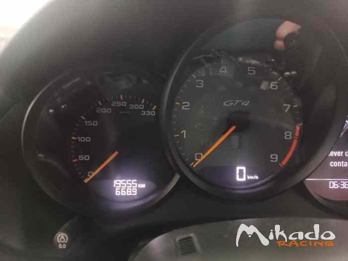 Porsche GT4 CS 981 3