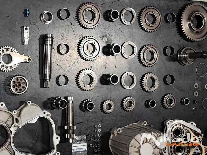 Citroën Zx 16v ex-works piedrafita 2