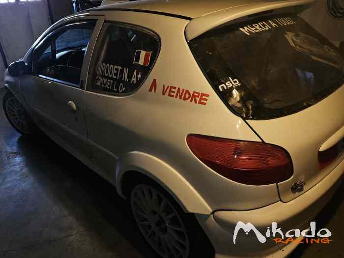 206 rc – photo 3 sur 3