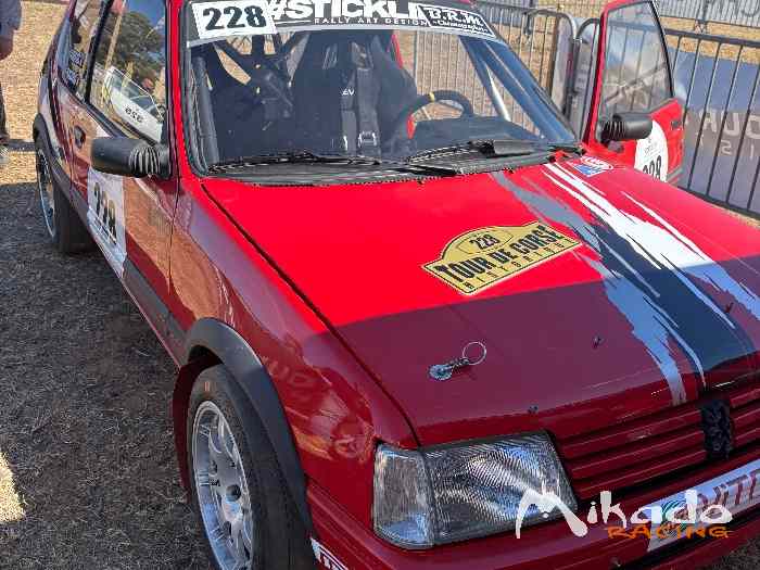 205 Maxi Groupe A Moteur Duquenne