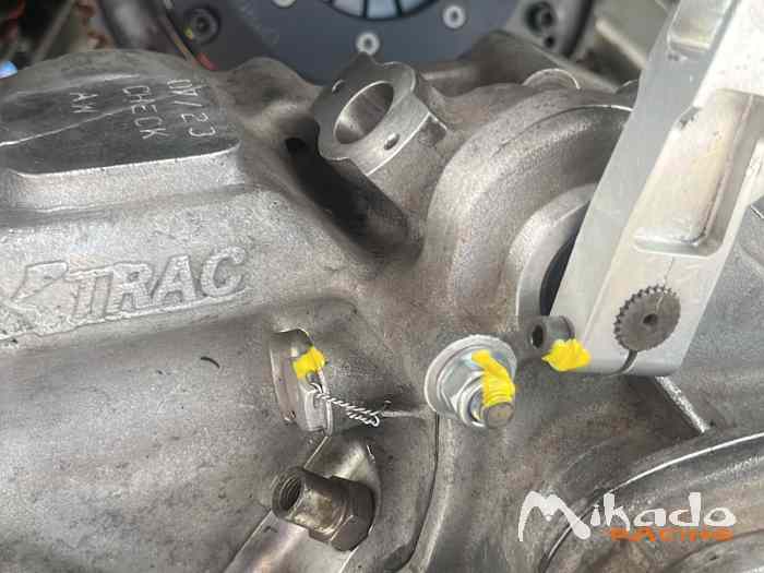 Citroën Zx 16v ex-works piedrafita 1