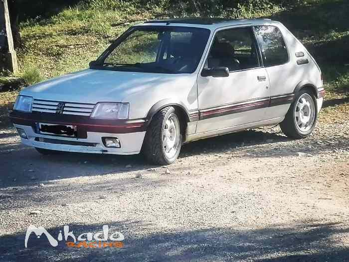 205 gti tct