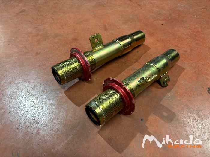 Paire de Jambes de forces de 207 R3T Evo 2 1