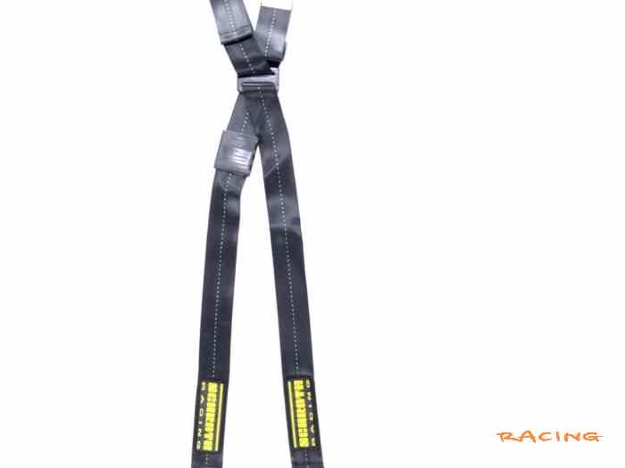 Harnais SCHROTH QuickFit 4 points 1