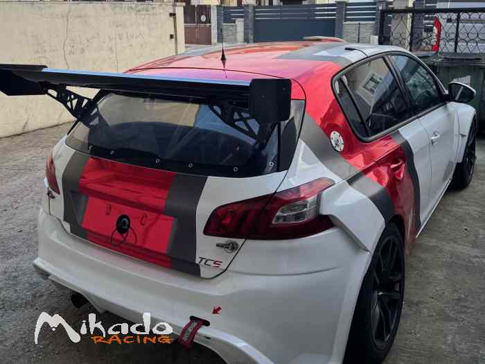 Peugeot 308 Racing Cup 1