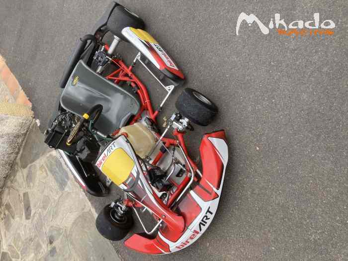 Karting 125 rotax max – photo 4 sur 6