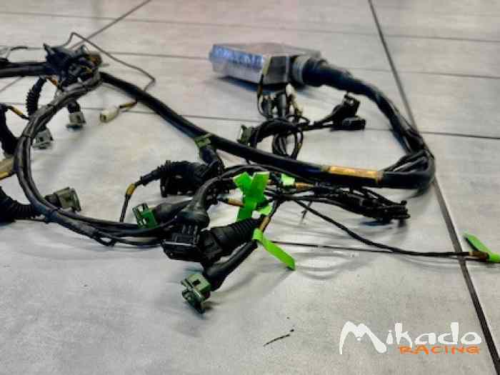 EFI 96 ecu and cables kit for Bmw 3000 6cyl CN – photo 2 sur 2