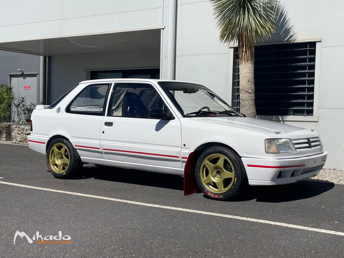 309 16S Groupe A / PTH FIA – photo 2 sur 6
