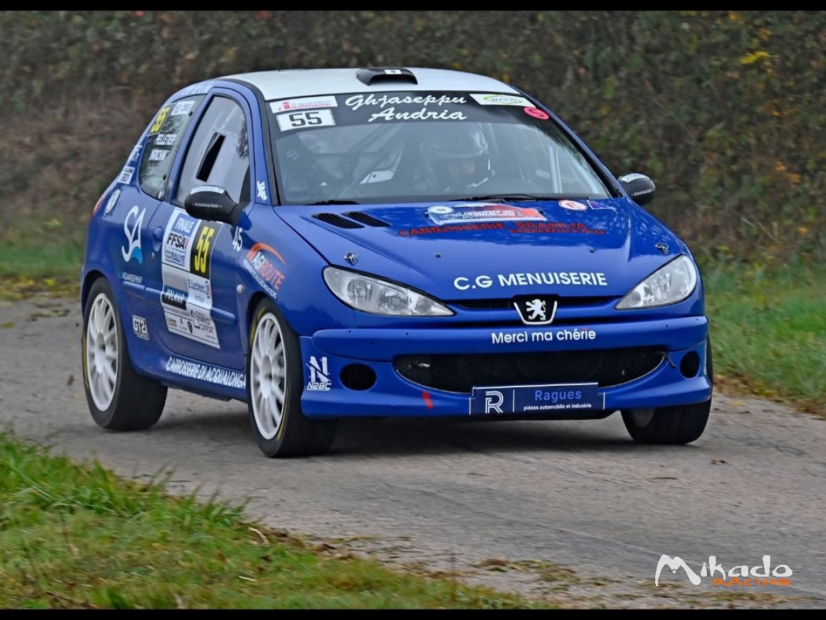 206 RC F214 – photo 1 sur 5