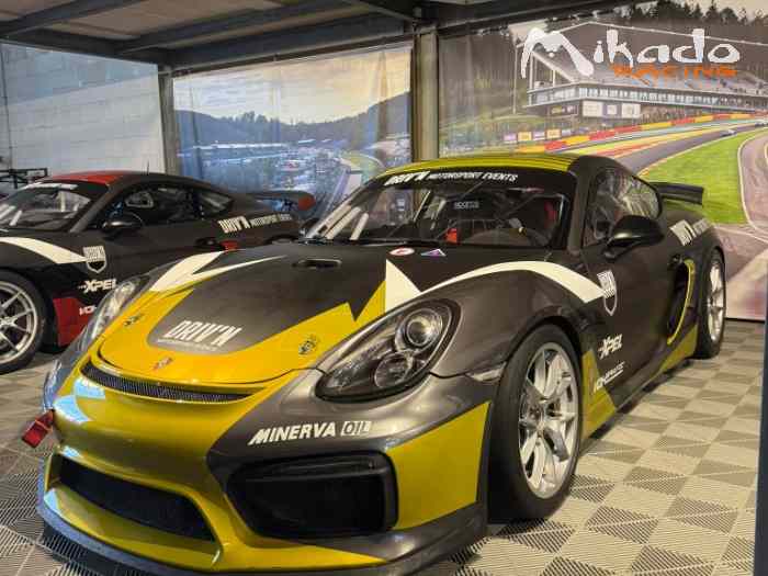 Lot de 2 Cayman GT4 Clubsport ( 981 ) – photo 3 sur 4