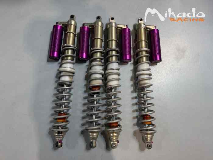 Set amortisseurs Reiger Taurus T3 Evo Max – photo 2 sur 2