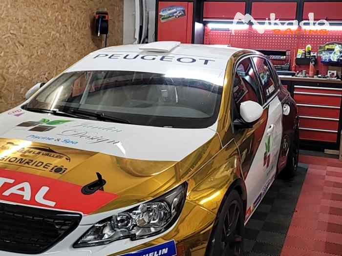 Peugeot 308 Racing Cup – photo 5 sur 5