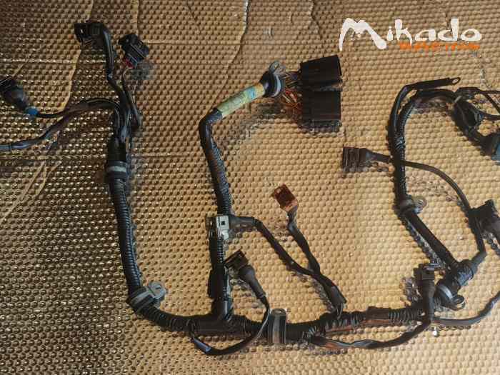NEUF Faisceau de câblage ESCORT COSWORTH T35 – photo 2 sur 6
