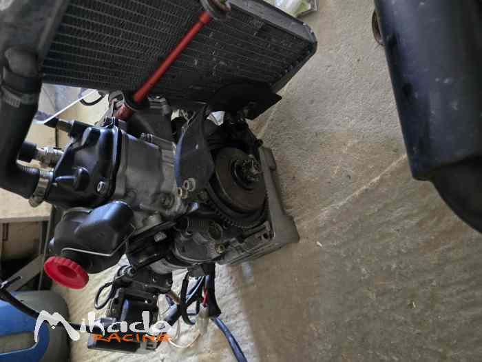 Moteur 125 rotax max – photo 3 sur 5