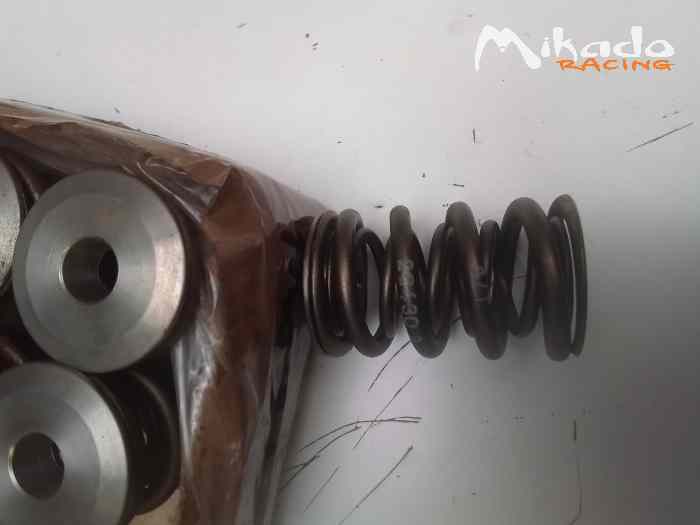 Kit ressorts de soupapes double + vraie coupelles titane EIBACH – photo 3 sur 3