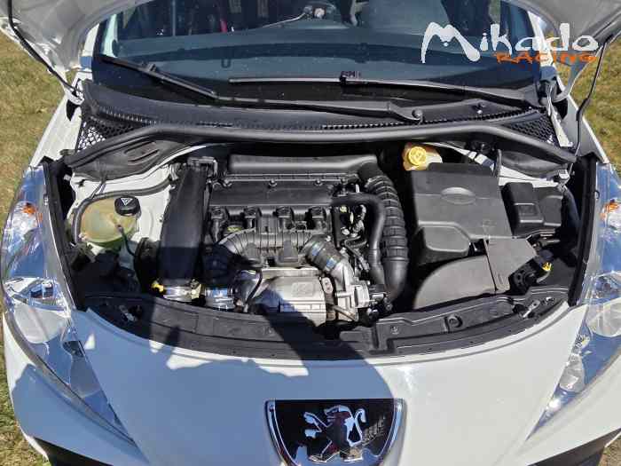 Peugeot 207 RC LW RPS – photo 2 sur 6