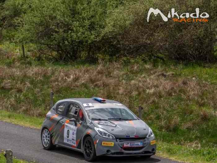 208 f2014 – photo 2 sur 4