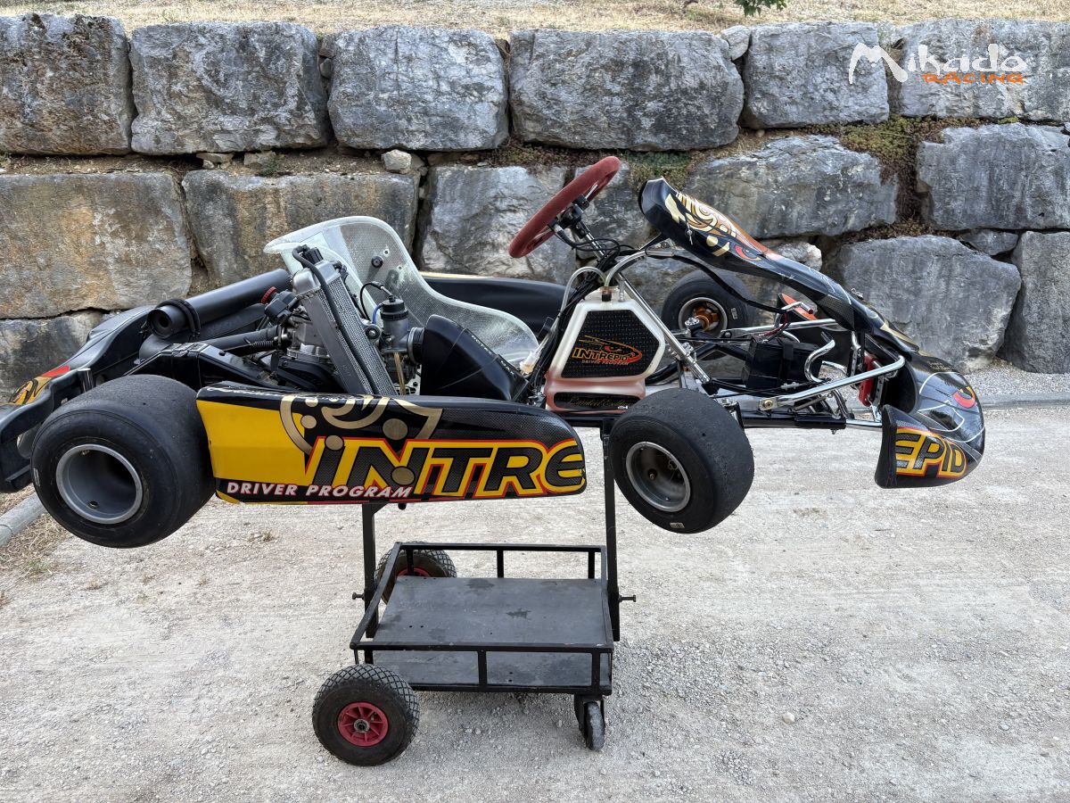 125 rotax max – photo 2 sur 3