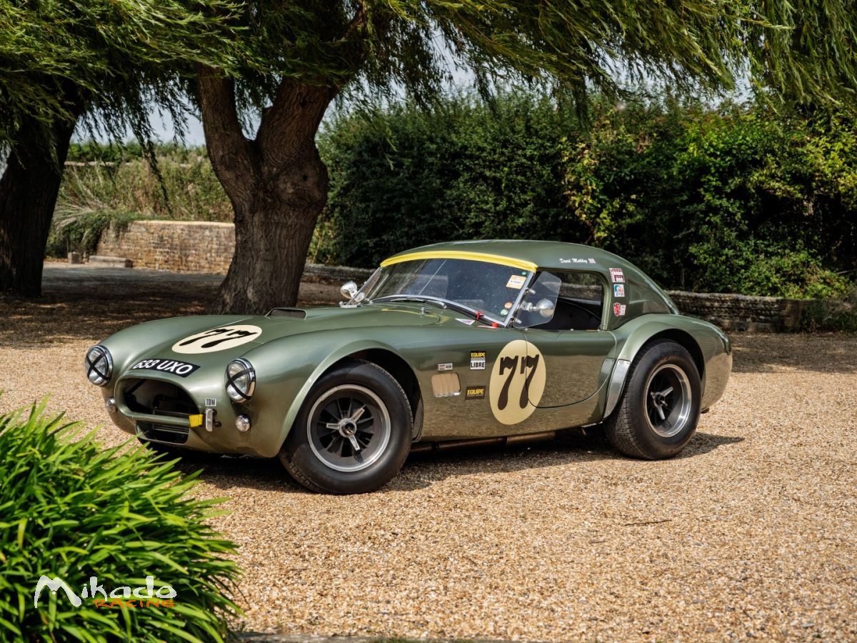 1965 Shelby Cobra FIA 289 – photo 1 sur 6