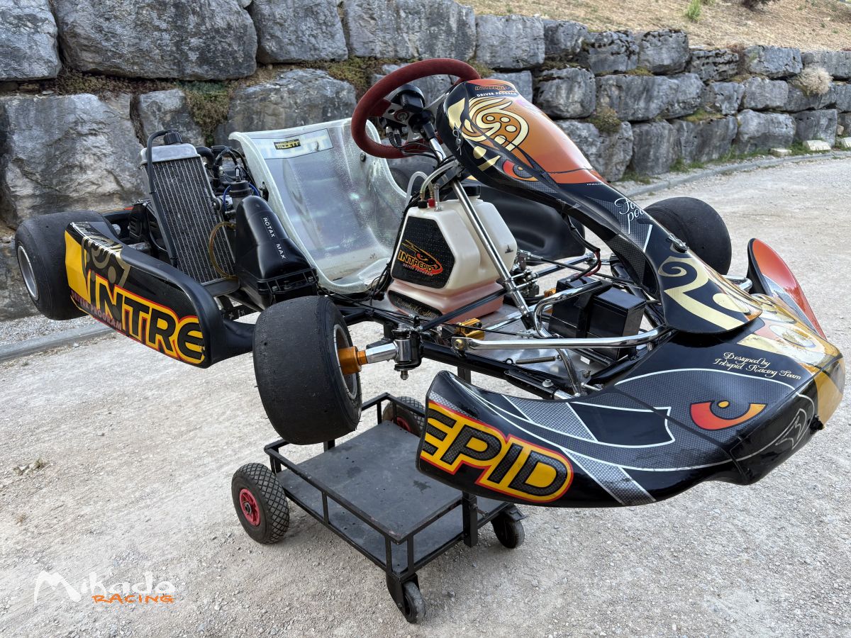 125 rotax max – photo 1 sur 3