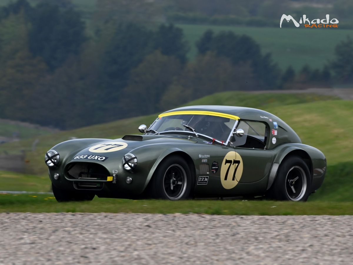 1965 Shelby Cobra FIA 289 – photo 3 sur 6
