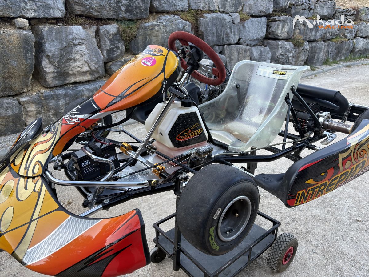 125 rotax max – photo 3 sur 3