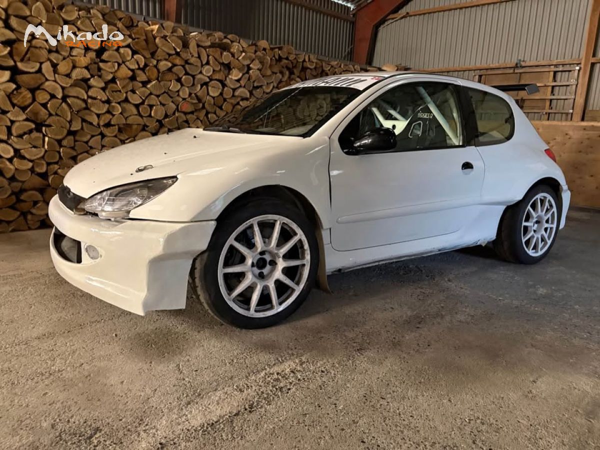 Peugeot 206 maxi à vendre – photo 1 sur 6