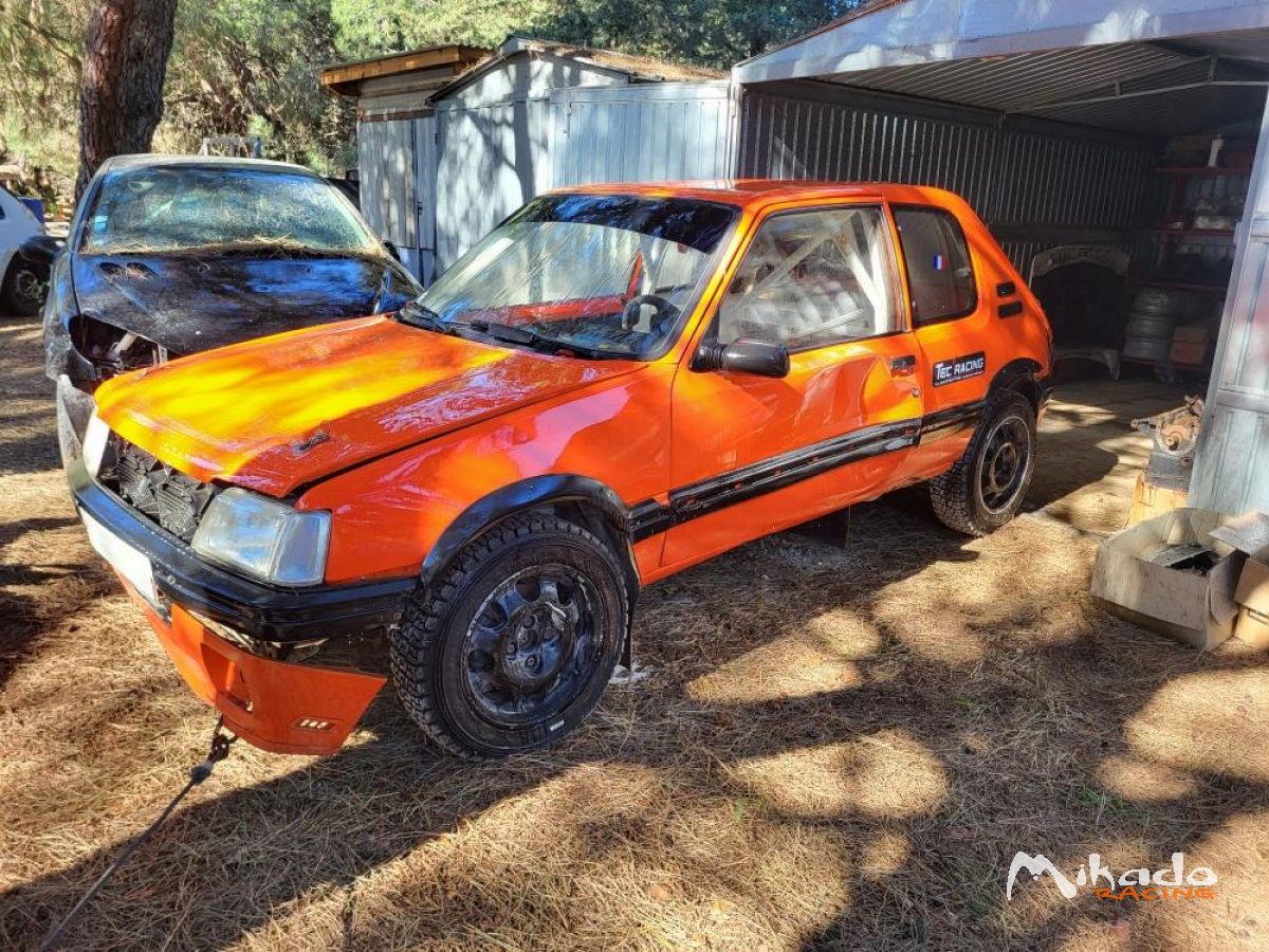 205 GTI 1.9 N3 TERRE – photo 1 sur 6