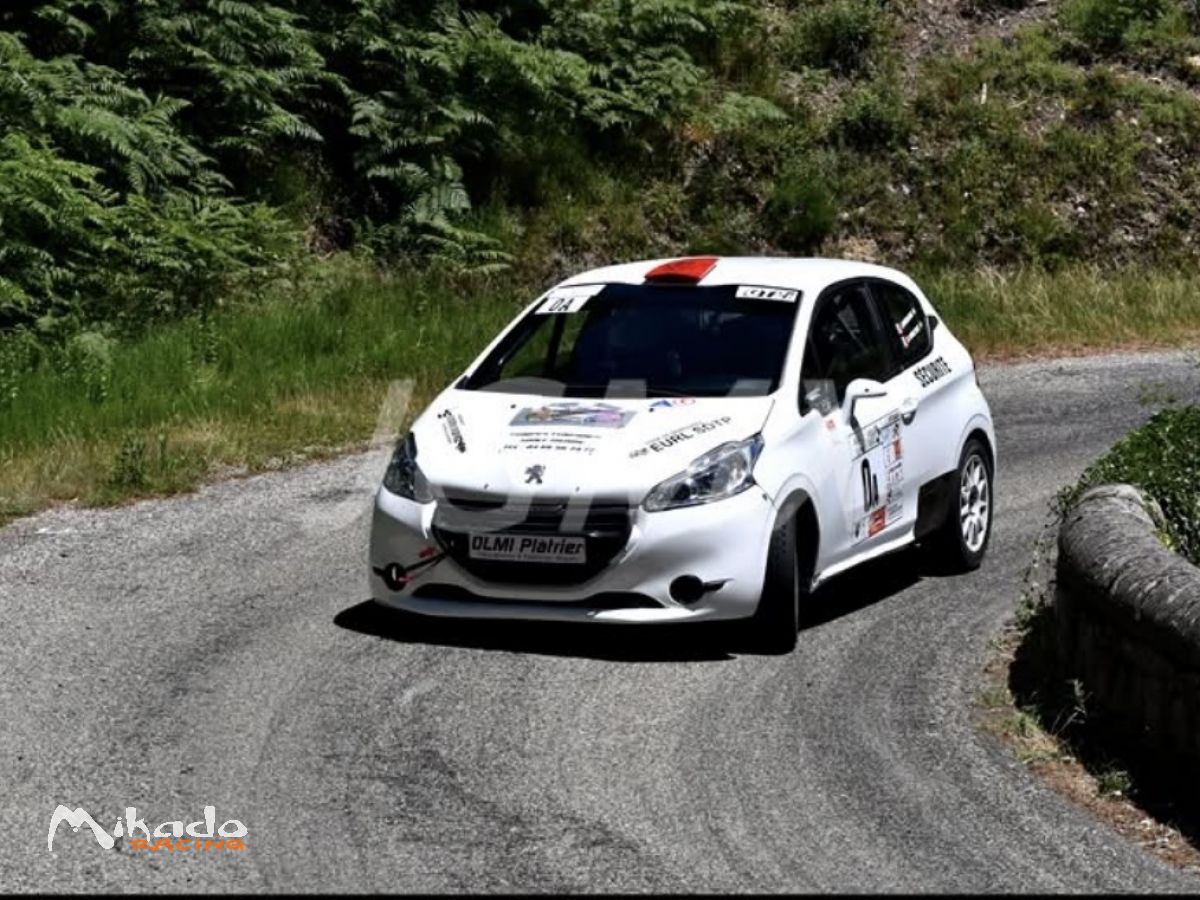 208 R2 – photo 1 sur 2