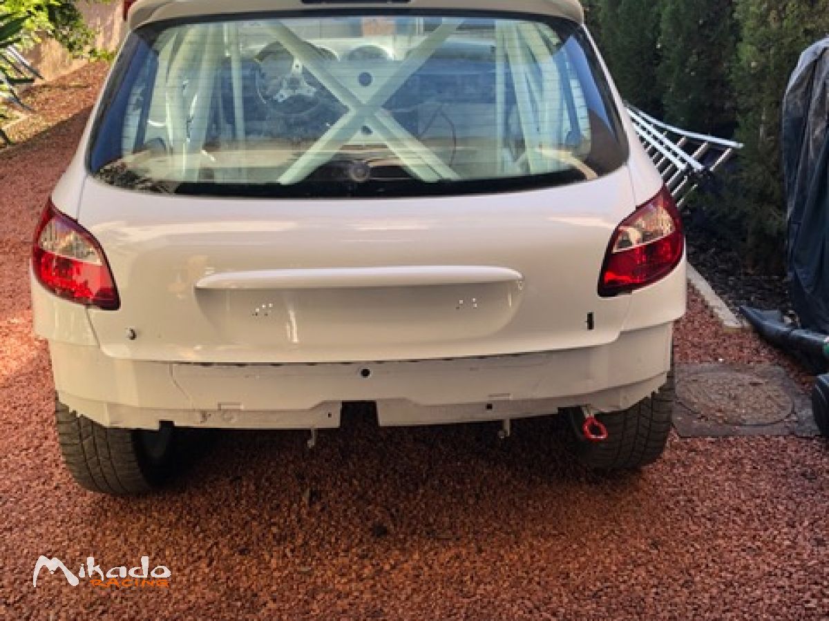 206 rc arceaux rac – photo 2 sur 5