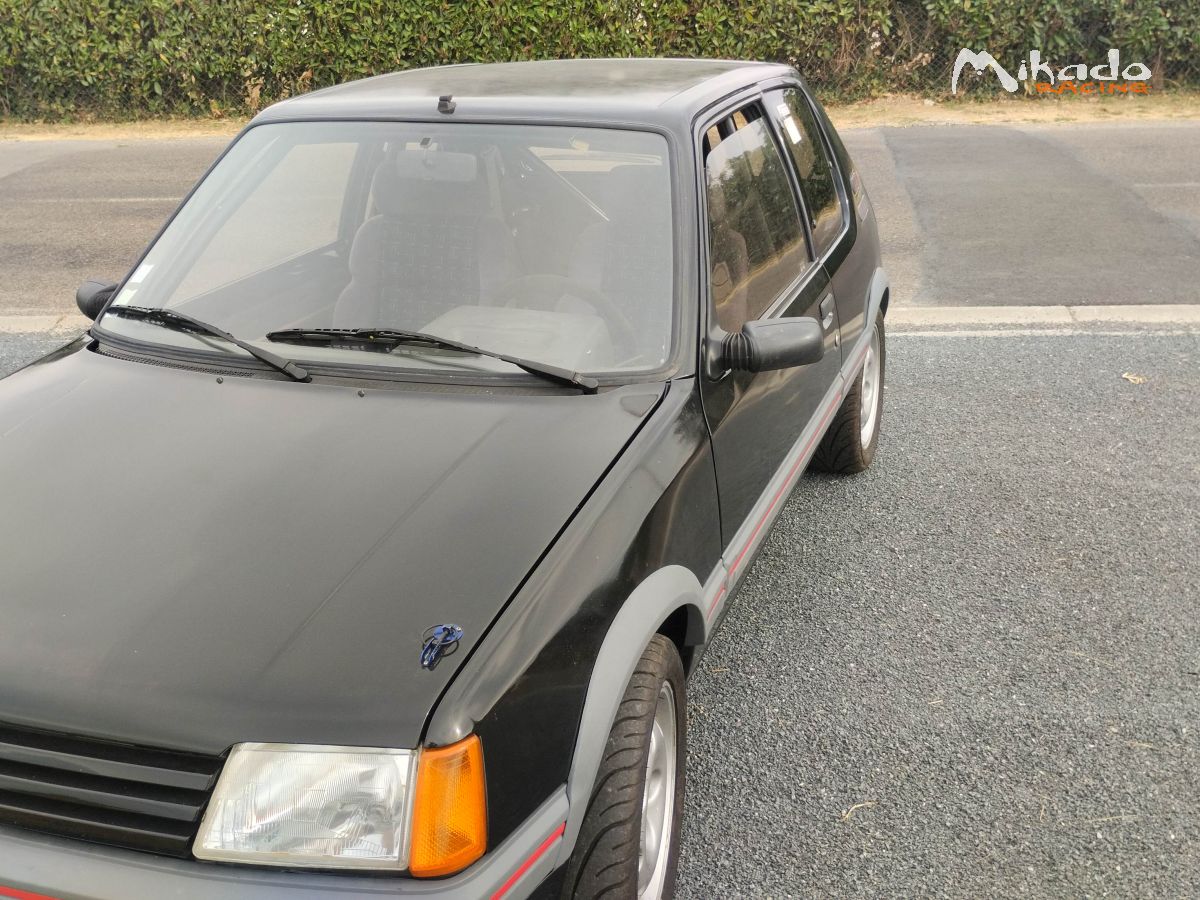 A vendre 205 GTI ex GROUPE FN3 – photo 1 sur 6