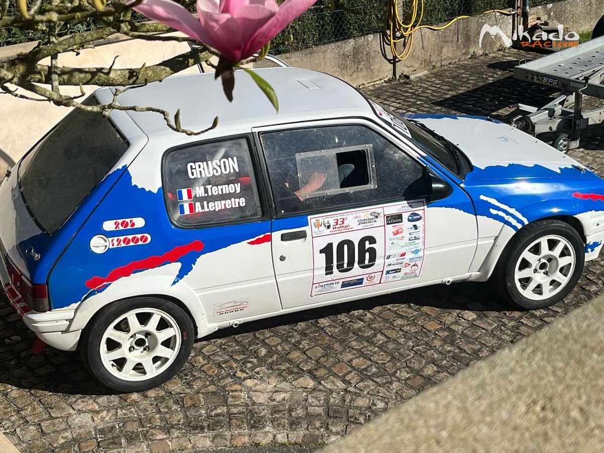 205 GTI F2/13 – photo 1 sur 6